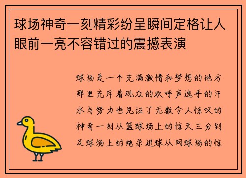 球场神奇一刻精彩纷呈瞬间定格让人眼前一亮不容错过的震撼表演