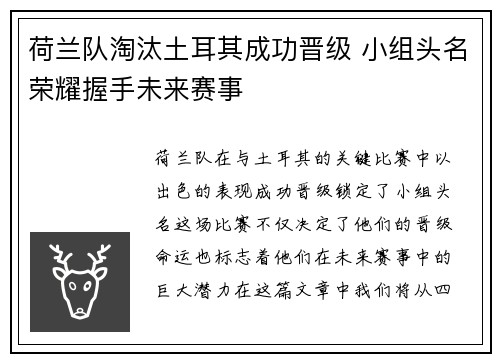 荷兰队淘汰土耳其成功晋级 小组头名荣耀握手未来赛事